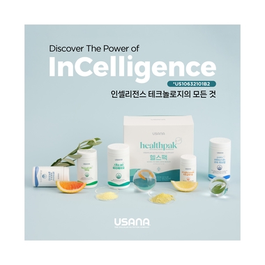 인셀리전스: 인셀리전스 테크놀로지 가이드: 참고 PDF