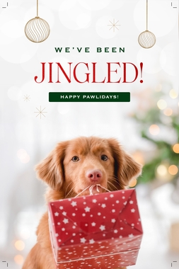 Postcard - You've Been Jingled.pdf