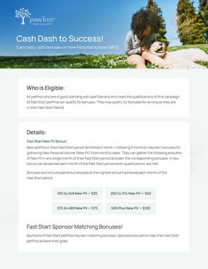Cash Dash.pdf