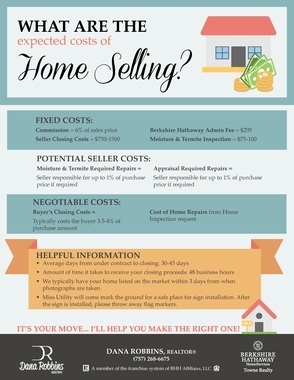 Home Selling Infographic Flyer