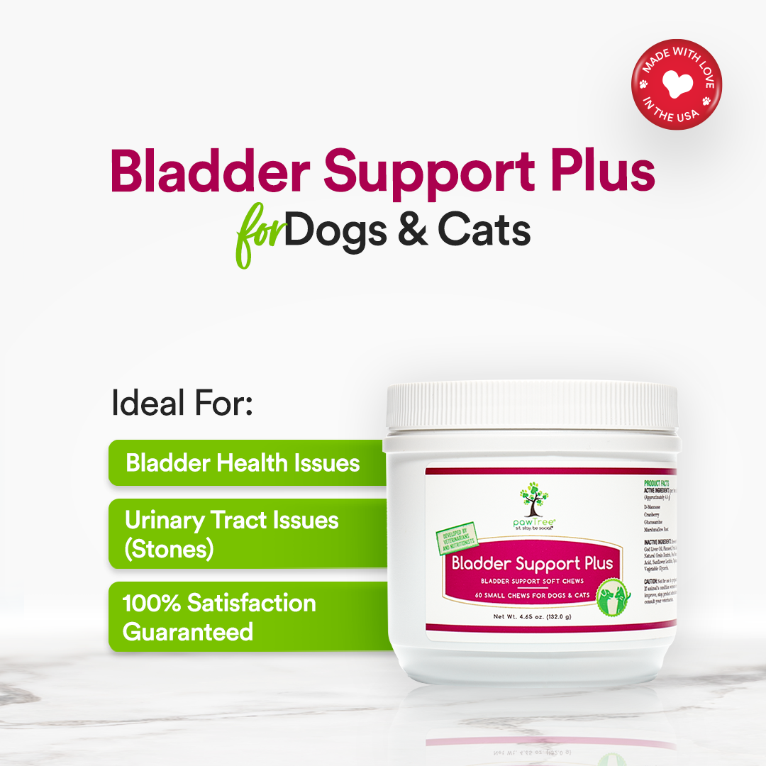 Bladder Support Plus - ideal for.png